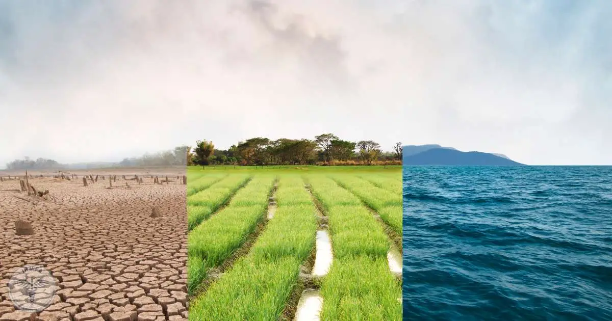 Climat & Santé